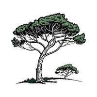 Charming Italian Stone Pine Tree Outline for Design vector