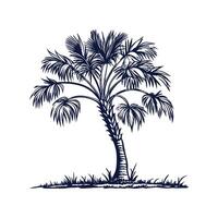 Stylish Japanese Fan Palm Tree Bold Outline Art vector