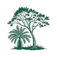 Charming Japanese Fan Palm Tree Outline for Design vector