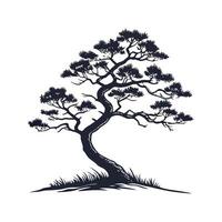 Charming Japanese White Pine Tree Outline for Design vector