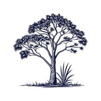 Japanese Fan Palm Tree Outline for Unique Illustrations vector