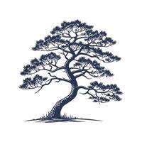 Stylish Japanese White Pine Tree Bold Outline Art vector