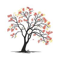 Realistic Mountain Ash Tree Bold Outline for Unique Art vector