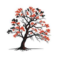 Realistic Northern Red Oak Tree Bold Outline for Unique Art vector