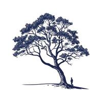Charming New Zealand Beech Tree Outline for Design vector