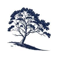 Stylish New Zealand Beech Tree Bold Outline Art vector
