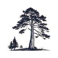 Realistic Pacific Coast Redwood Tree Bold Outline for Unique Art vector