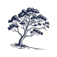 Stylish River Red Gum Tree Bold Outline Art vector