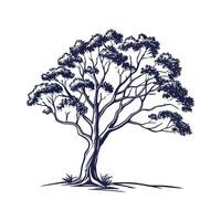 Charming River Red Gum Tree Outline for Design vector