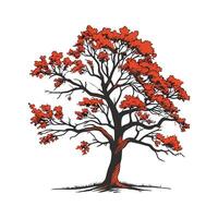 Scarlet Oak Tree Outline for Unique Illustrations vector