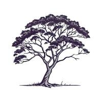 Stylish South American Lapacho Tree Bold Outline Art vector