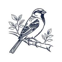 Realistic Sparrow on a Branch Bold Outline for Unique Art vector