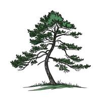 Sugar Pine Tree Bold Outline Design vector