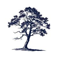 Swamp Chestnut Oak Tree Bold Design vector