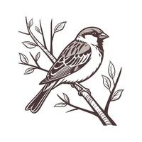Charming Sparrow on a Branch Outline for Design vector