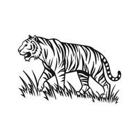 Illustration of Tiger Stalking Design vector