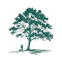 Tulip Poplar Tree Bold Outline Design vector
