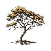 Vietnamese Golden Cypress Tree Design vector