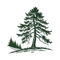 Western Hemlock Tree Bold Outline Design vector