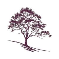 Whitebeam Tree Bold Outline Design vector