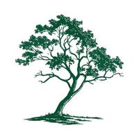 Bold Outline Wild Tamarind Tree Design vector