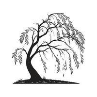 Willow Tree Outline Design vector