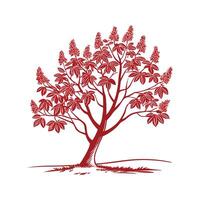 Red Buckeye Tree Bold Outline Design vector