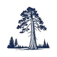 Redwood Tree Outline Design vector
