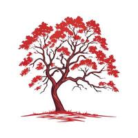 Outline of Scarlet Oak Tree Design vector
