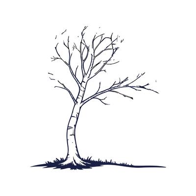 Outline of Silver Birch Tree Design