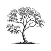 Bold Outline Silver Trumpet Tree vector
