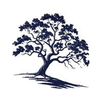 Silver Oak Tree Outline Illustration vector