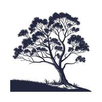 Outline of Snow Gum Tree Design vector