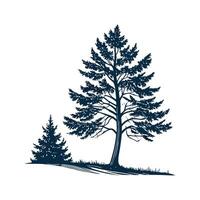 Bold Outline Spruce Tree Design vector