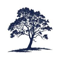 Swamp Chestnut Oak Tree Bold Outline vector