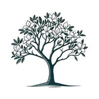 Sweet Bay Magnolia Tree Outline Design vector