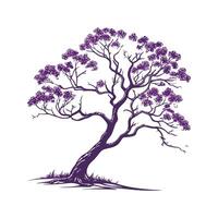 Bold Outline Texas Mountain Laurel Tree vector