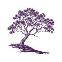 Texas Mountain Laurel Tree Outline Design vector