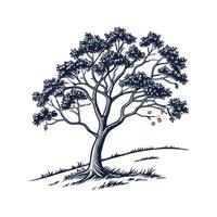 Texas Persimmon Tree Outline Design vector