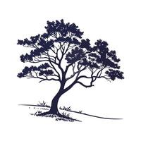 Outline of Texas Persimmon Tree vector
