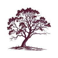 Texas Red Oak Tree Outline Design vector
