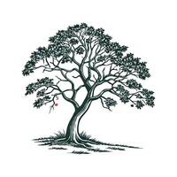 Texas Persimmon Tree Bold Outline Design vector
