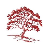 Texas Red Oak Tree Bold Outline Design vector