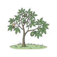 Walnut Tree Illustration Design vector