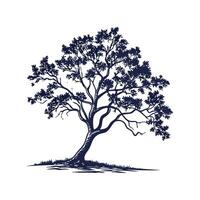 Walnut Tree Bold Outline Design vector