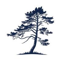 Bold Outline Western Hemlock Tree. vector