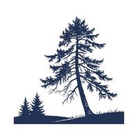 Outline of Western Hemlock Tree vector