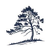 Western White Pine Tree Outline Design vector