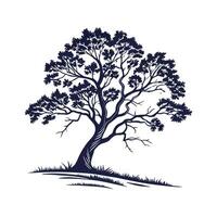 White Mulberry Tree Outline Design vector
