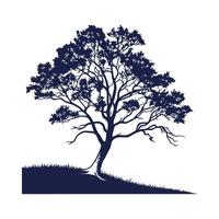 Bold Outline White Mulberry Tree vector